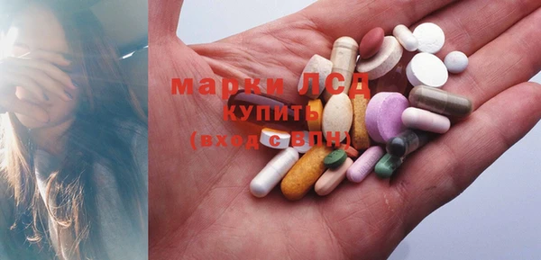 a pvp Бородино