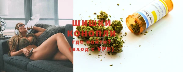 сатива Бронницы