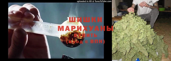 ГАЛЛЮЦИНОГЕННЫЕ ГРИБЫ Покровск