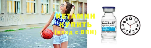 сатива Бронницы