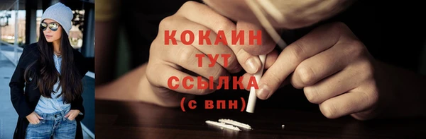 скорость Каменка
