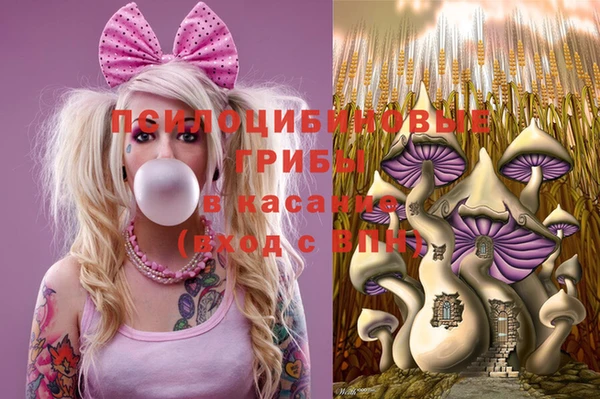 амф Покров