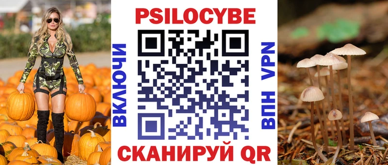 Псилоцибиновые грибы прущие грибы  Вязьма 