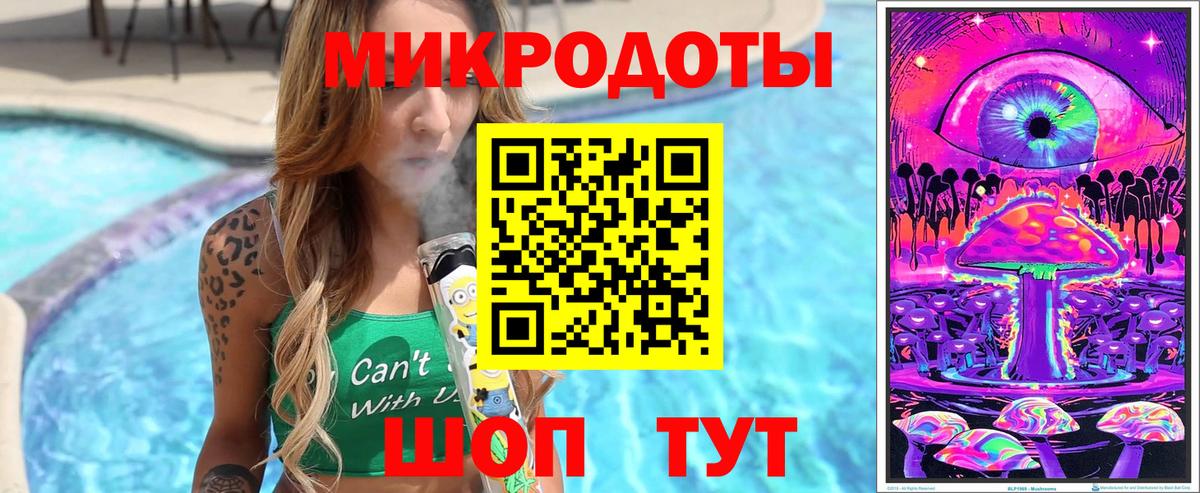 Галлюциногенные грибы Cubensis Вязьма