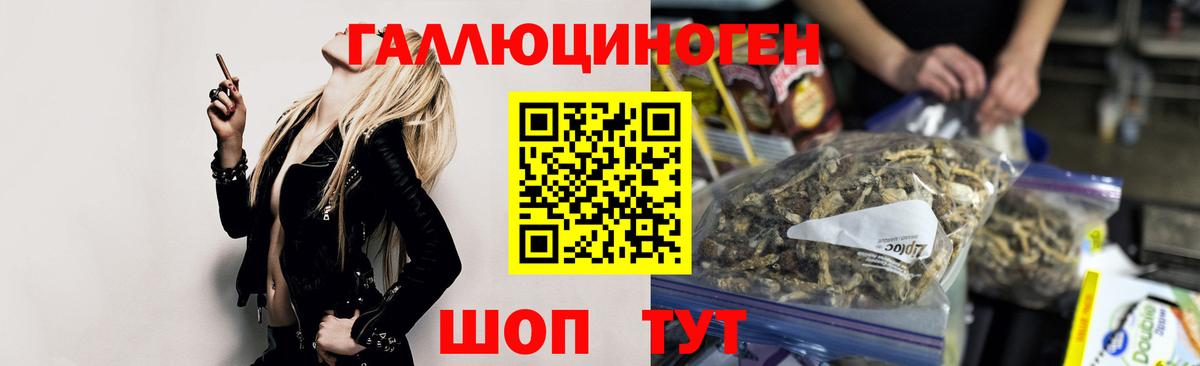 Псилоцибиновые грибы Psilocybine cubensis  Вход с VPN  Псилоцибиновые грибы мицелий  наркота  Вязьма 