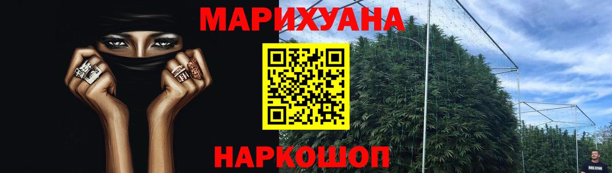 Вязьма  Бошки марихуана сатива  Каннабис семена  Канабис Bruce Banner  Вход с VPN 