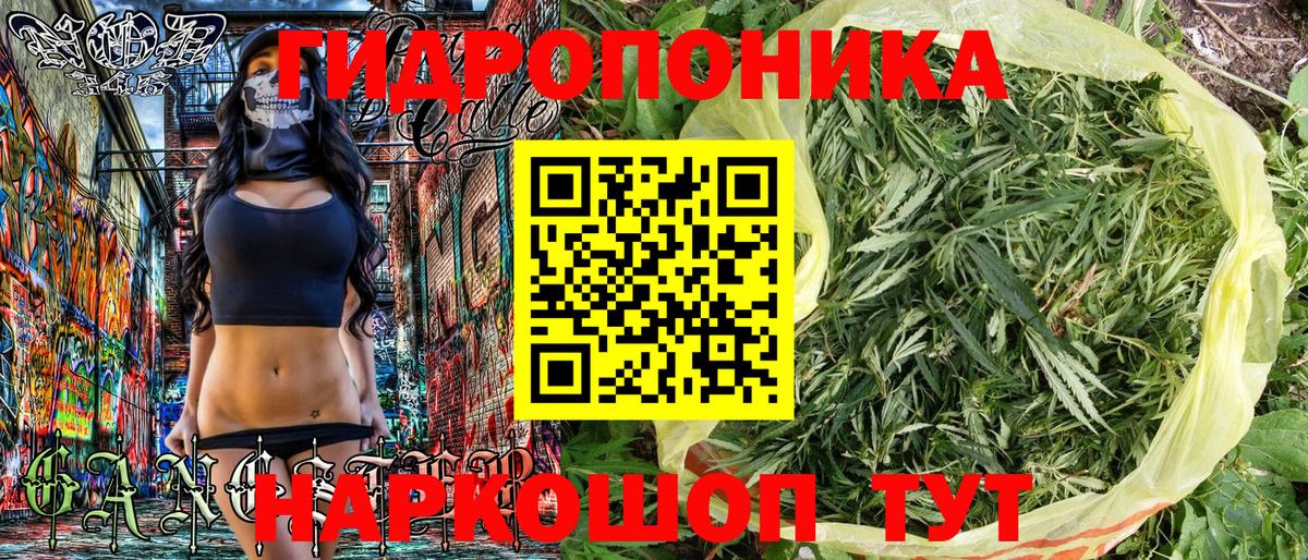 Конопля Bruce Banner Вязьма